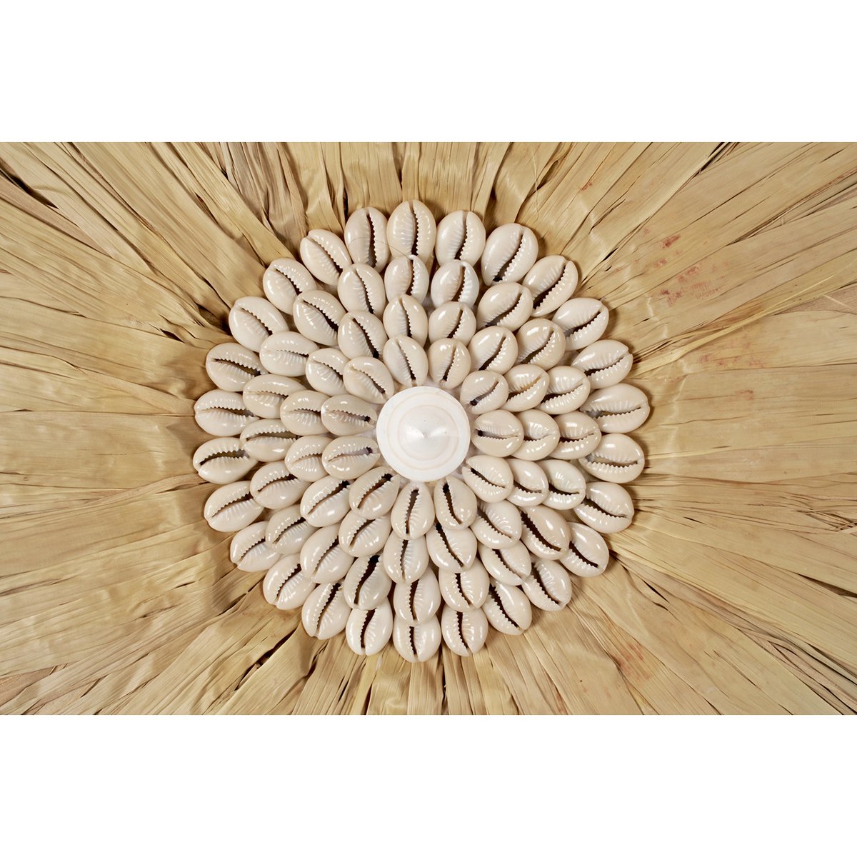 Pole to Pole - Juju Rasta