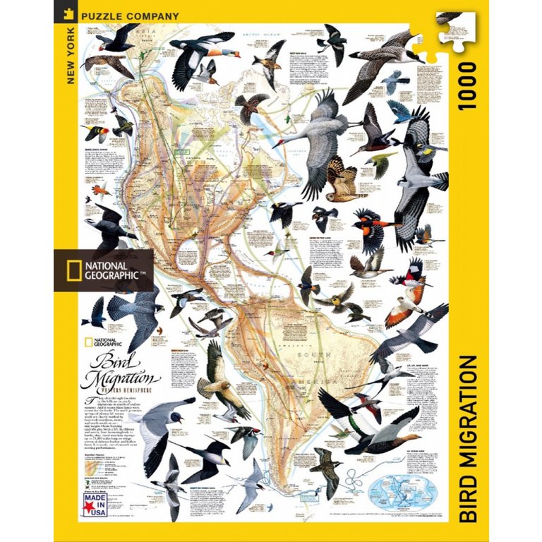 New York Puzzle Company - Puzzle 'Migration des oiseaux' (1000 pièces)