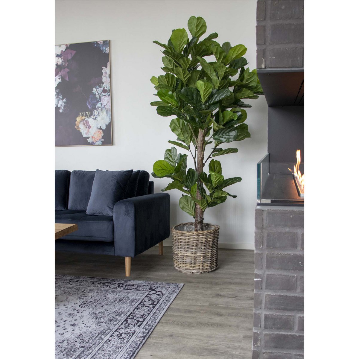 House Nordic - Fiddle Leaf Tree