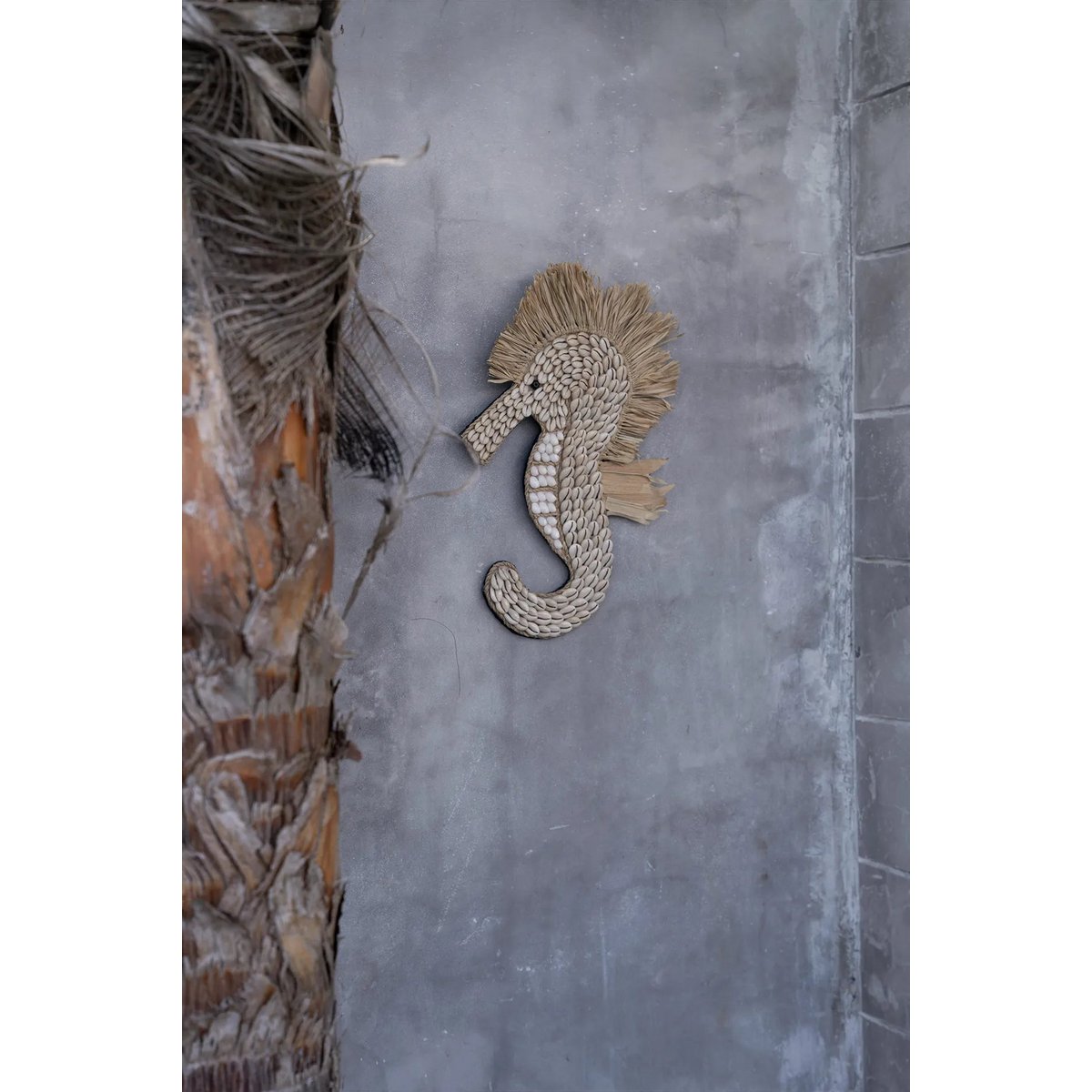 Bazar Bizar - Decoratief figuur 'Shell Seahorse' (Wit)