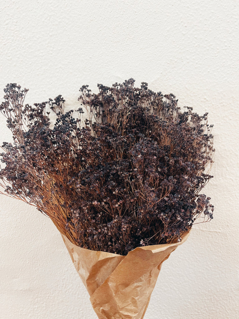 Uma Cantik - Droogbloemen 'Broom Bloom' (Paars)