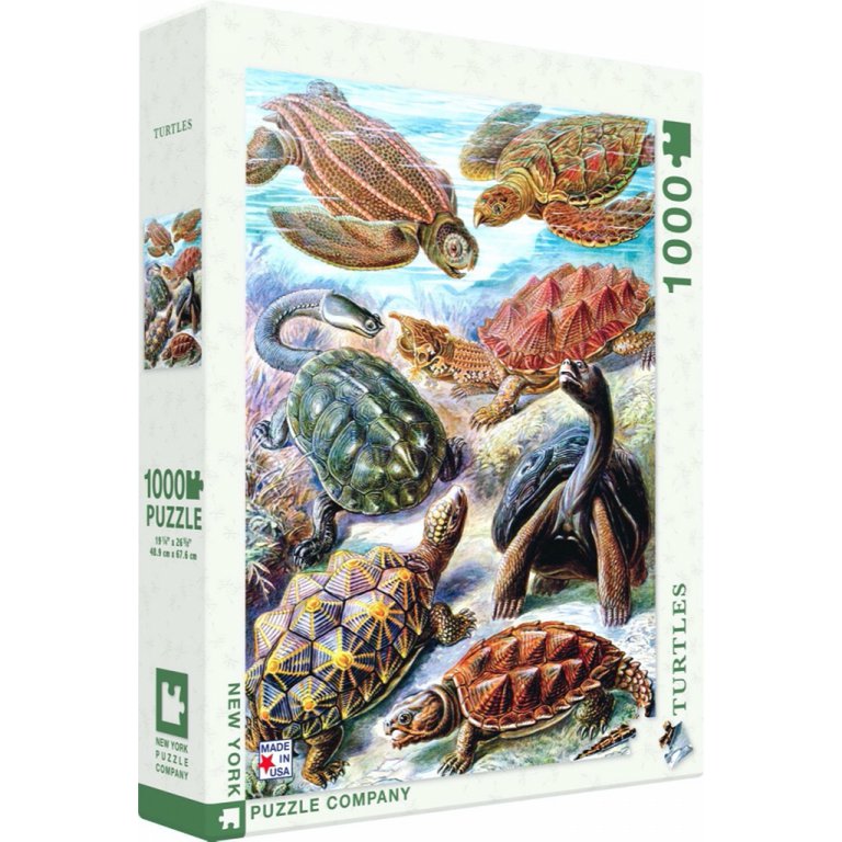 New York Puzzle Company - Puzzel 'Turtles' (1000 stukjes)