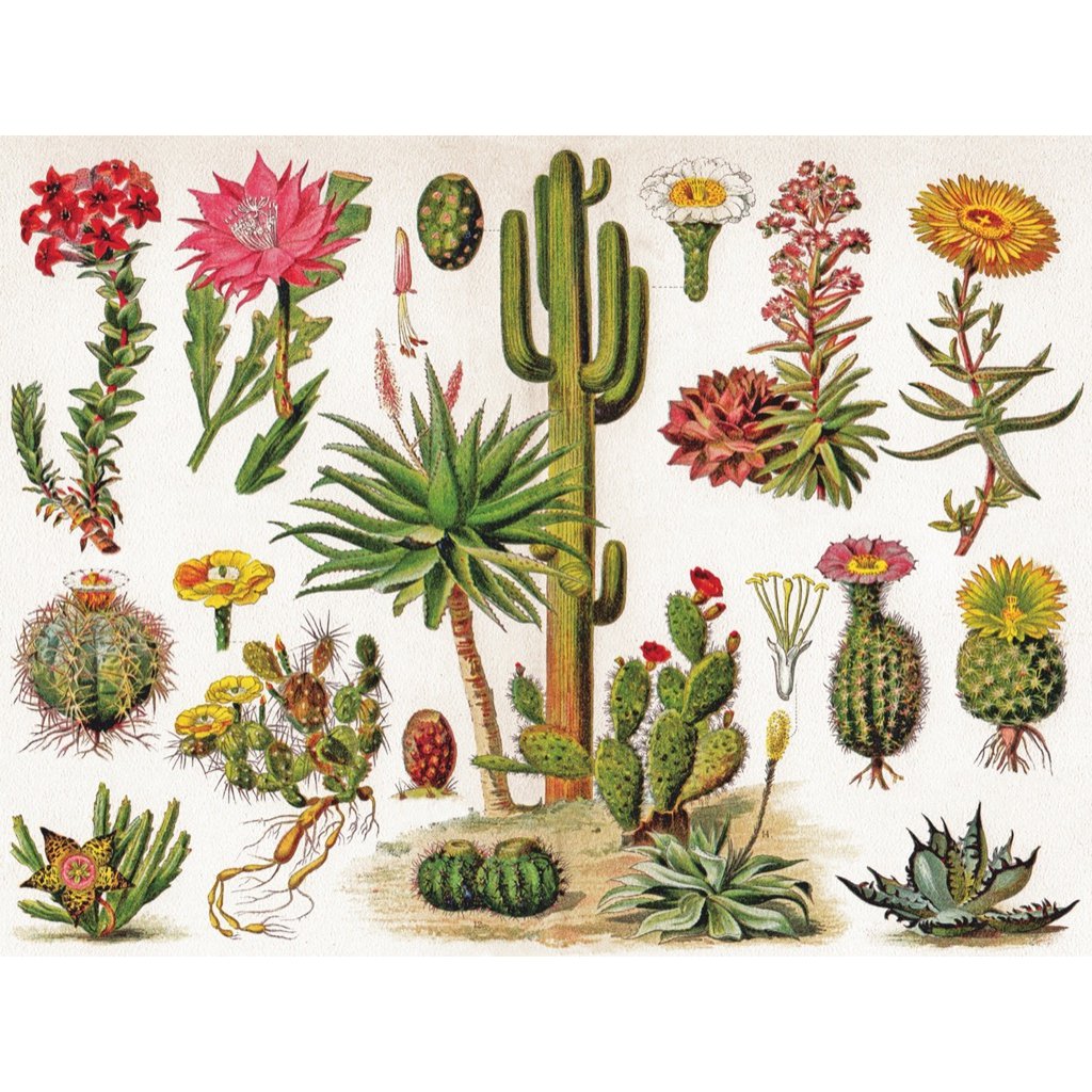 New York Puzzle Company - Puzzel 'Cacti ~ Cactus' (1000 stukjes)