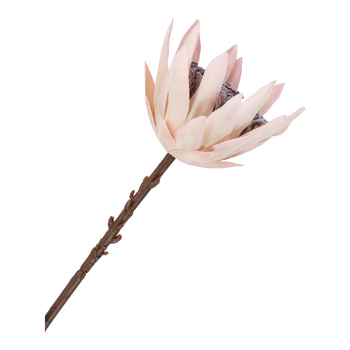 House Nordic - King Protea Boeket - Kunstbloemen, bordeaux mix, 65 cm