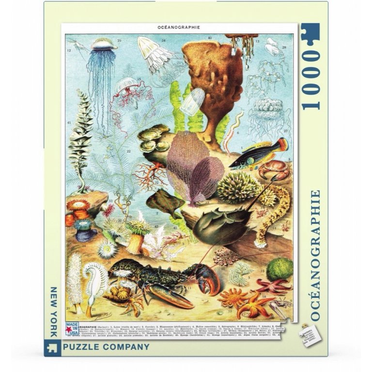 New York Puzzle Company - Puzzle 'Océanographie' (1000 Teile)