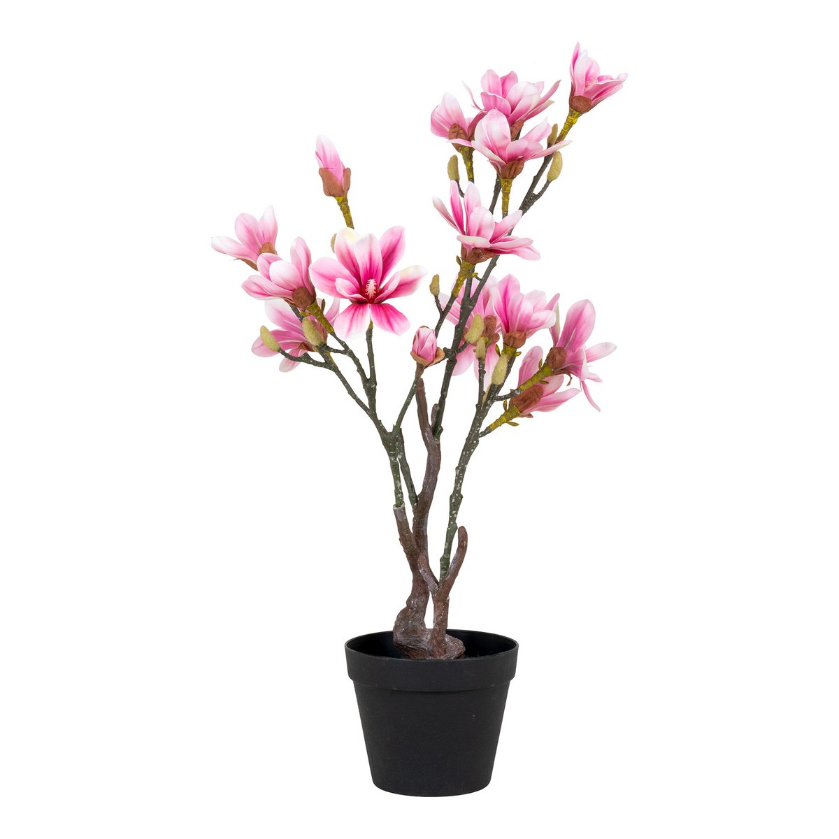 House Nordic - Magnoliaboom - Groen, Roze