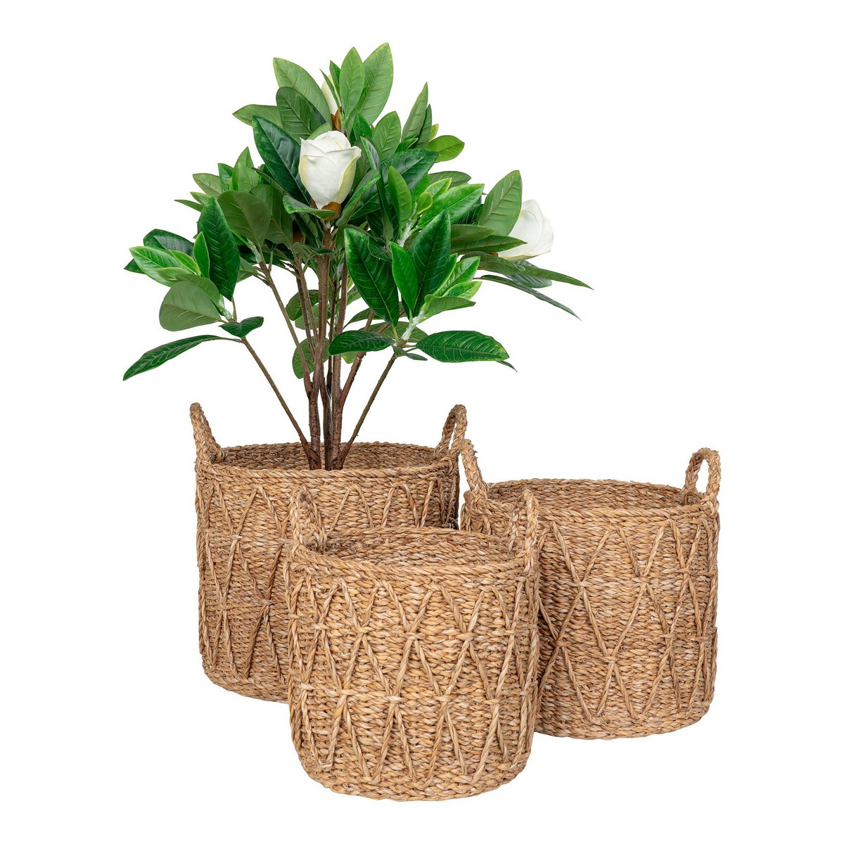 House Nordic - Krabi Basket - Panier, jonc de mer, naturel, lot de 3