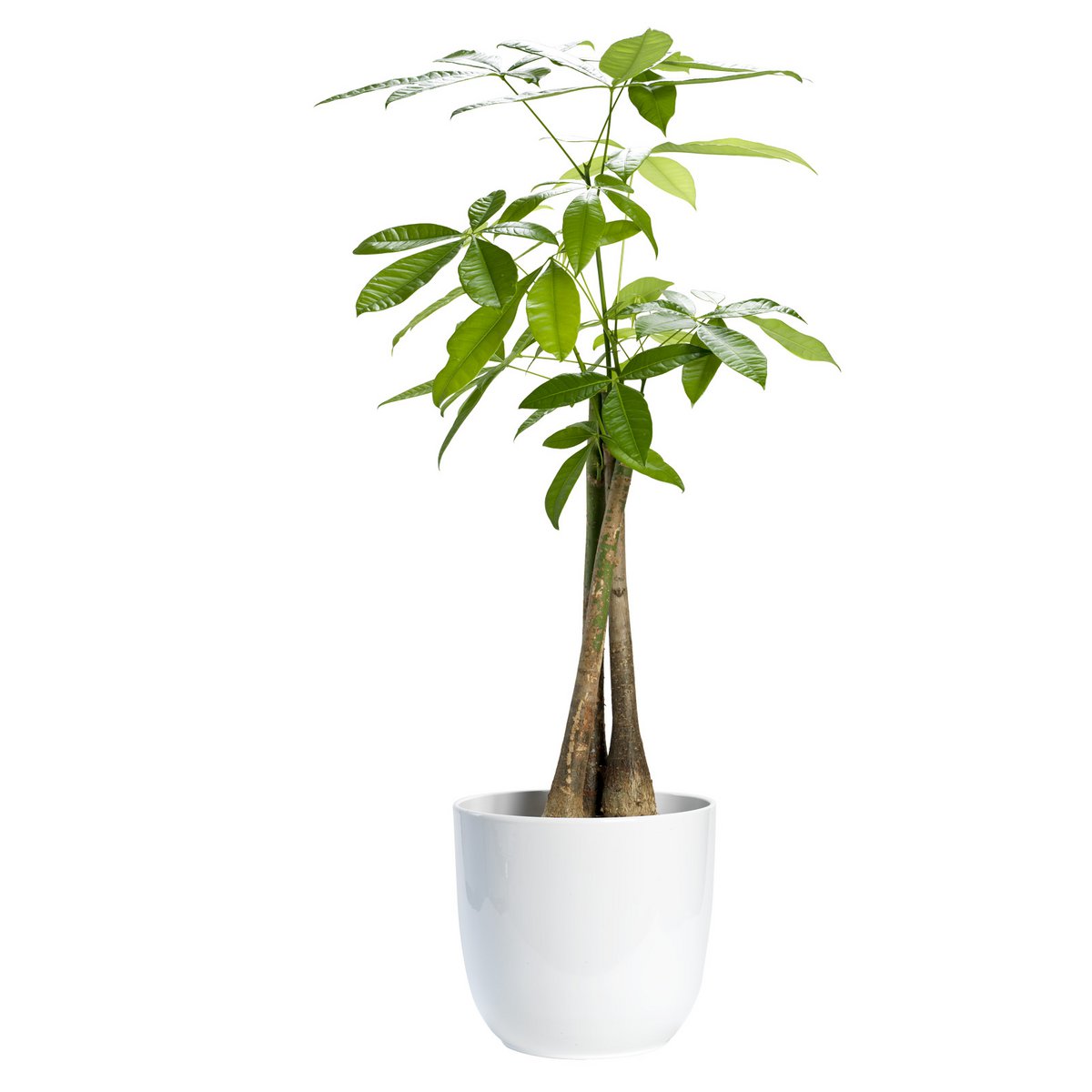 Mica Décorations - Pot de Fleur Tusca - H25 x Ø28 cm - Blanc