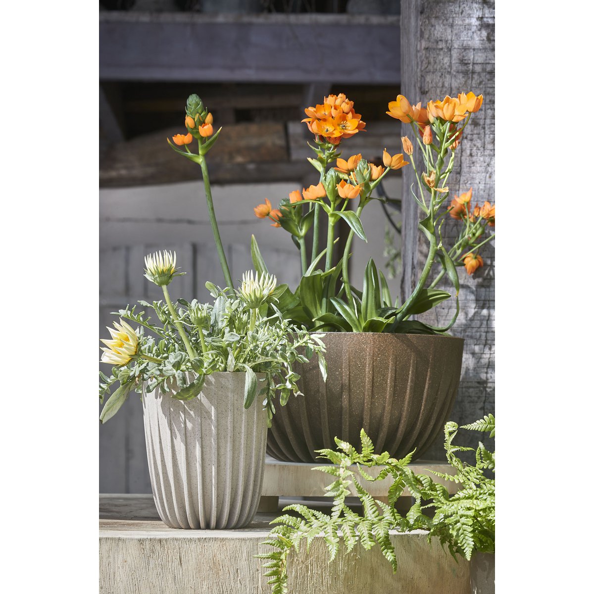 Mica Décorations - Pot de Fleur Lungo - H36 x Ø30 cm - Polypropylène - FSC Mix - Blanc Cassé