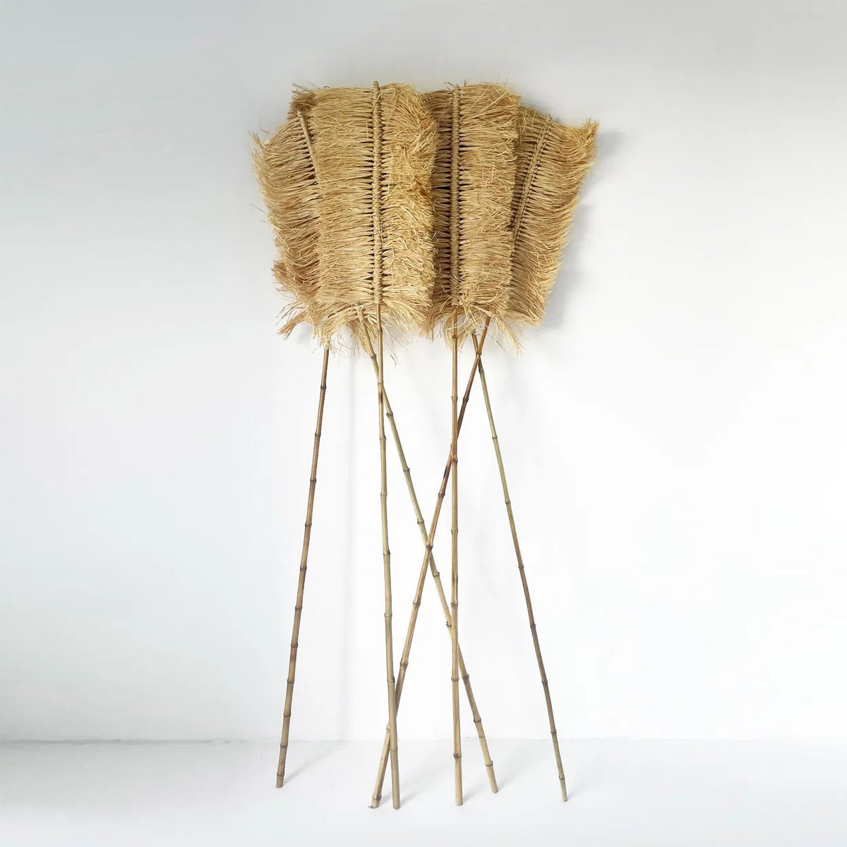 Bazar Bizar - Pampas decoratie 'Raffia Palmeira' (Naturel)