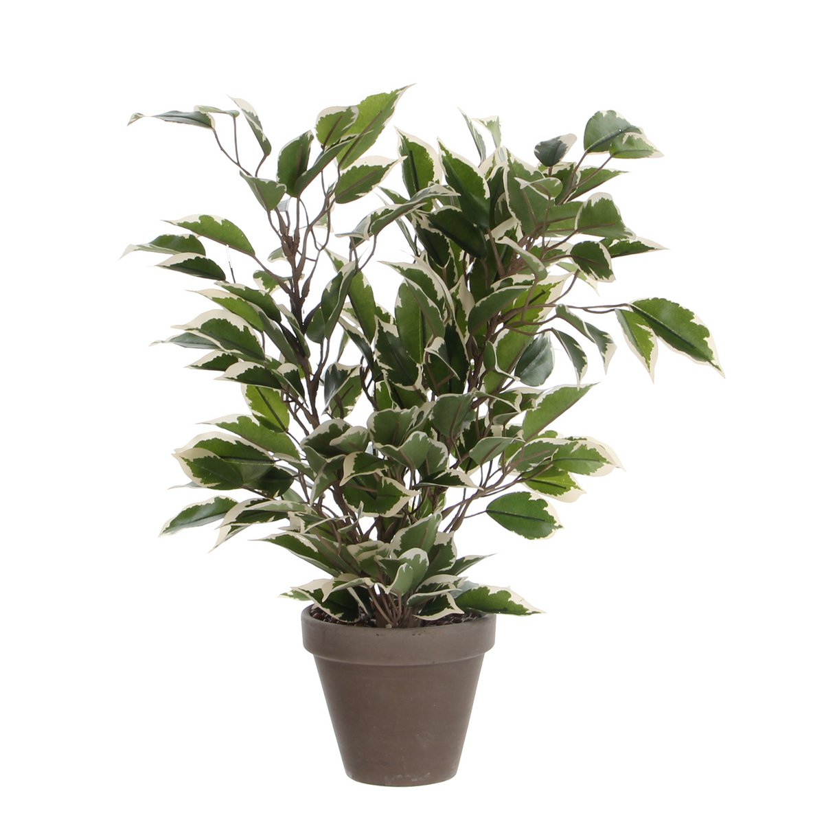 Glimmerdekorationen – Ficus Natasja Kunstpflanze im Blumentopf Stan – H40 x Ø30 cm – Grün Bunt