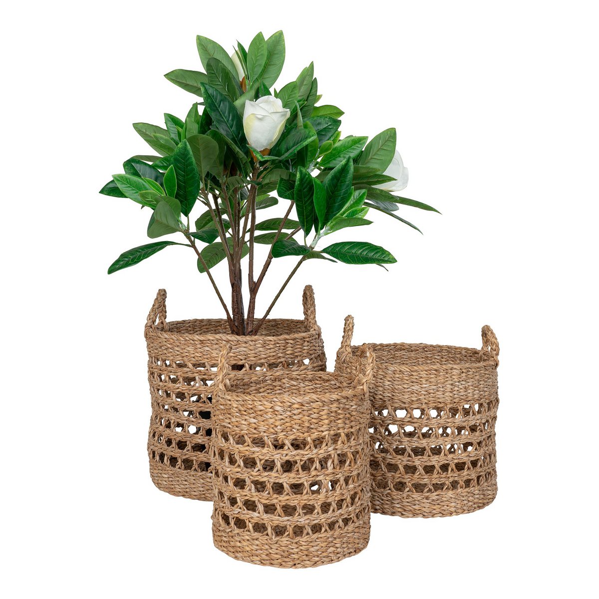 House Nordic - Balok Basket - Panier, jonc de mer, naturel/noir, lot de 3