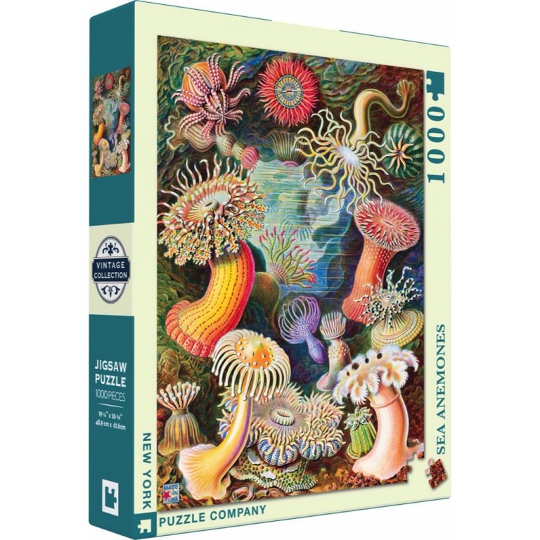 New York Puzzle Company - Puzzle 'Anémones de mer' (1000 pièces)