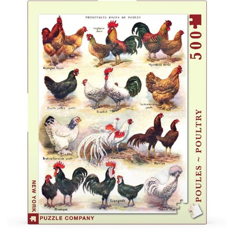 New York Puzzle Company - Puzzle 'Poules ~ Volaille' (500 pièces)