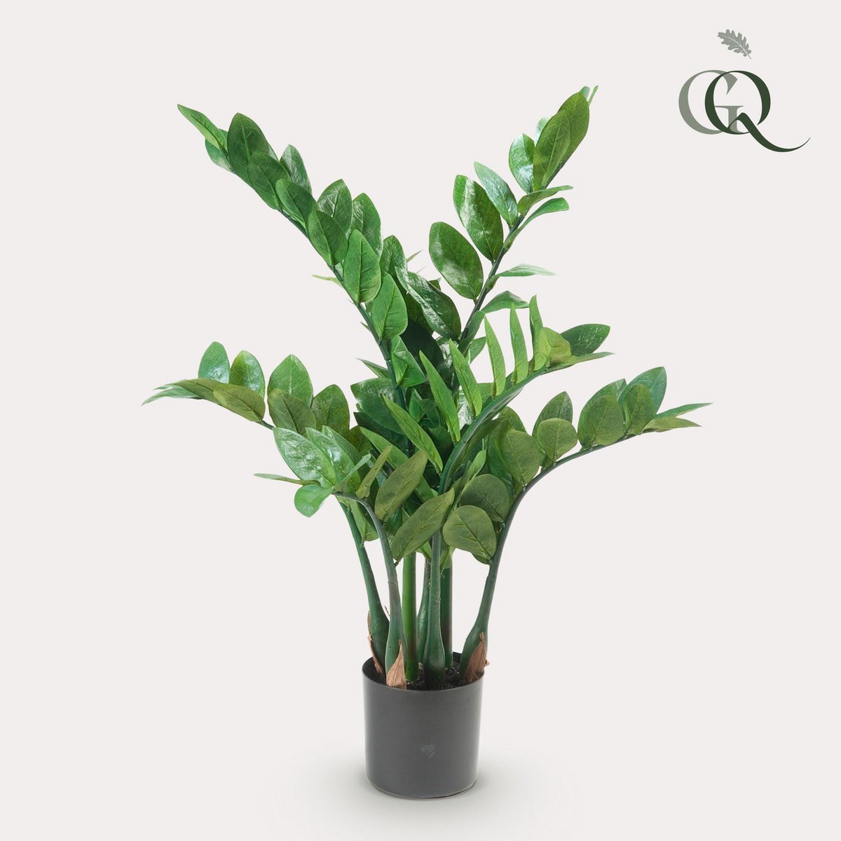 Green BoutiQ - Kunstplant - Zamioculcas - Kamerpalm - 70 cm