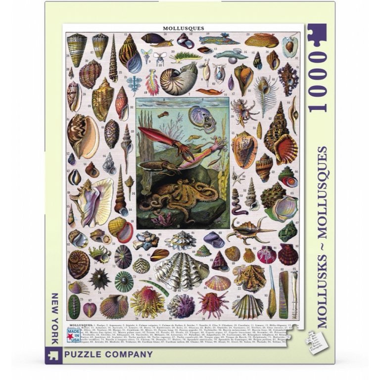 New York Puzzle Company - Puzzle 'Mollusques' (1000 pièces)