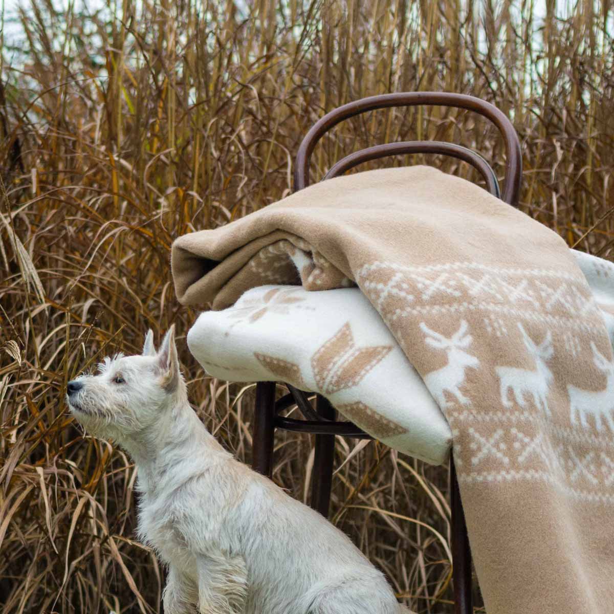 MoST Blankets - Wollen beddeken RENDEER - beige