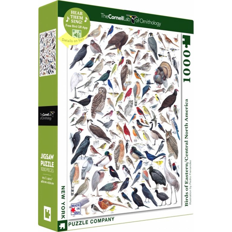 New York Puzzle Company - Puzzle 'Oiseaux de l'Est/Centr. Amérique du Nord' (1000 pièces)