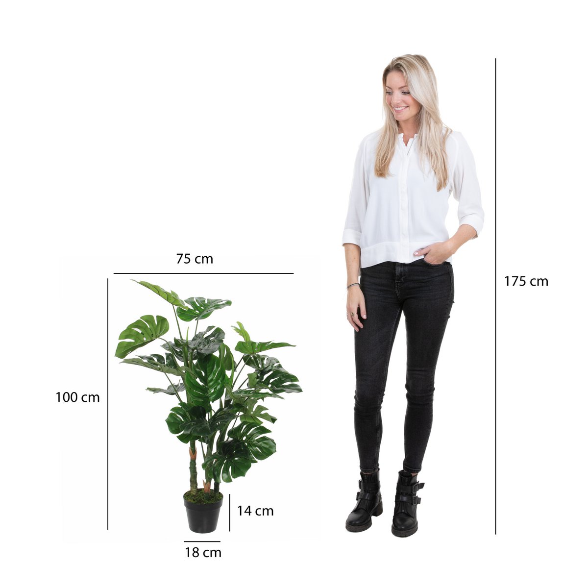 Glimmerdekorationen – Künstliche Pflanze Monstera – H100 x Ø75 cm – Grün