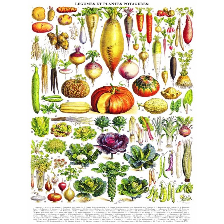 New York Puzzle Company - Puzzel 'Vegetables ~ Légumes' (1000 stukjes)