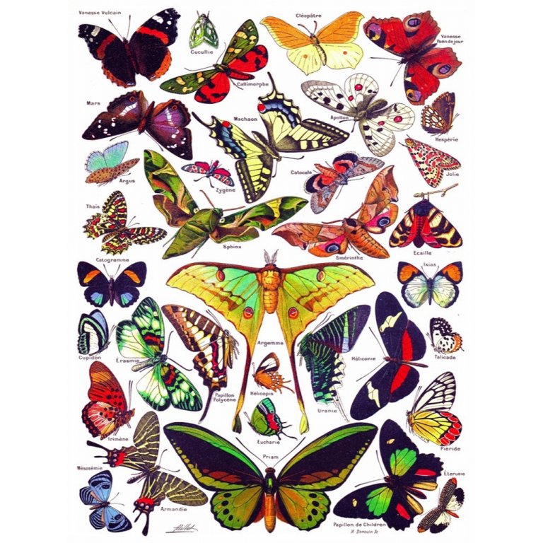 New York Puzzle Company - Puzzle 'Papillons~Papillons' (1000 pièces)