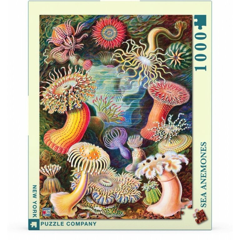 New York Puzzle Company - Puzzle 'Anémones de mer' (1000 pièces)