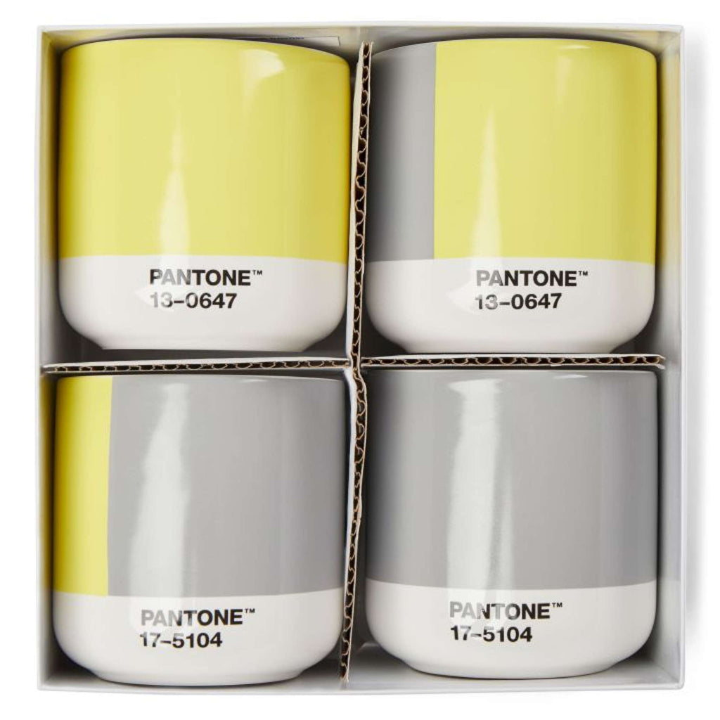 Copenhagen Design - Coffret cadeau de tasses Cortado 'Pantone' (Lot de 4, double paroi, 170 ml, Illuminating 13-0647 &amp; Ultimategray 17-5104)