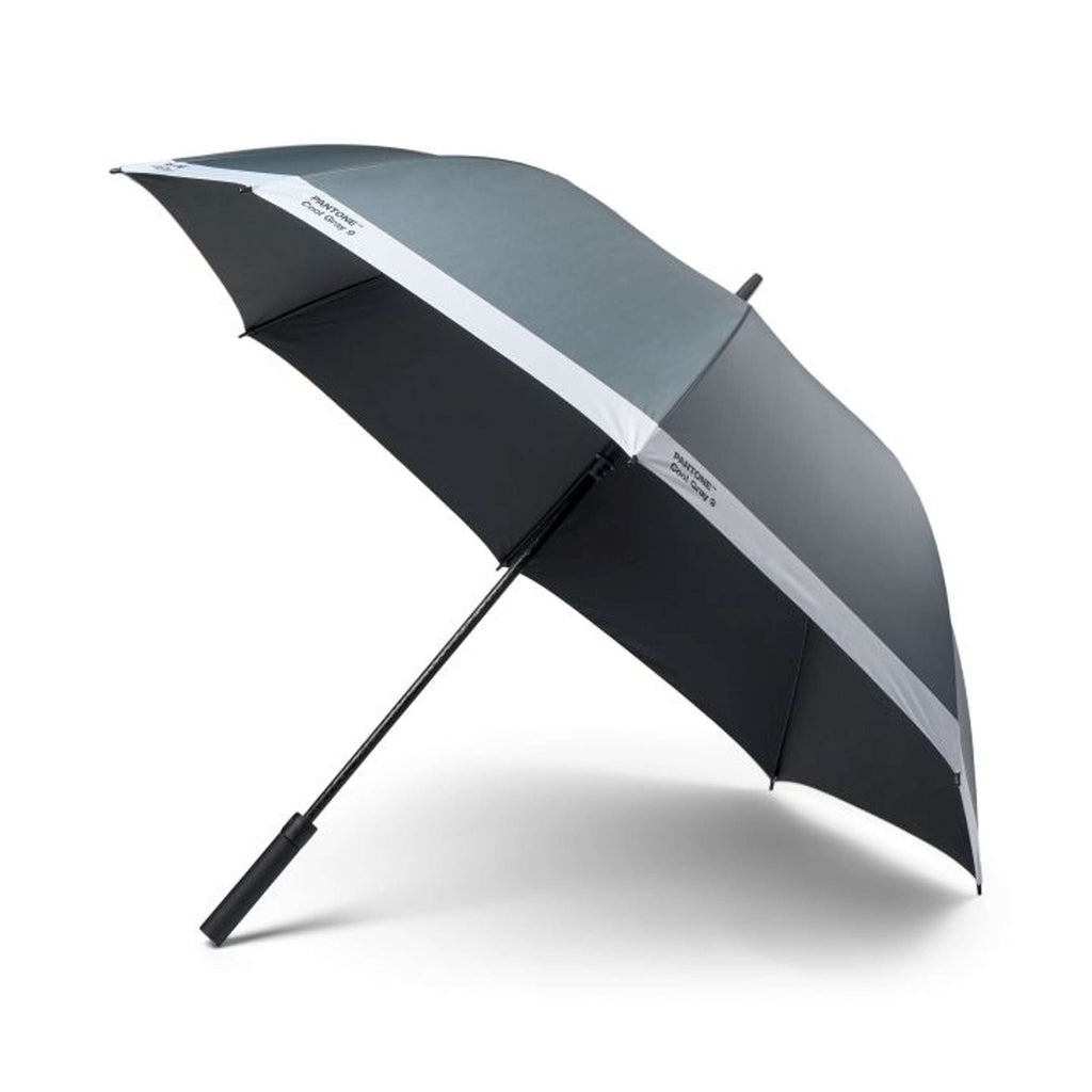 Parapluie Grand - Gris Cool 9