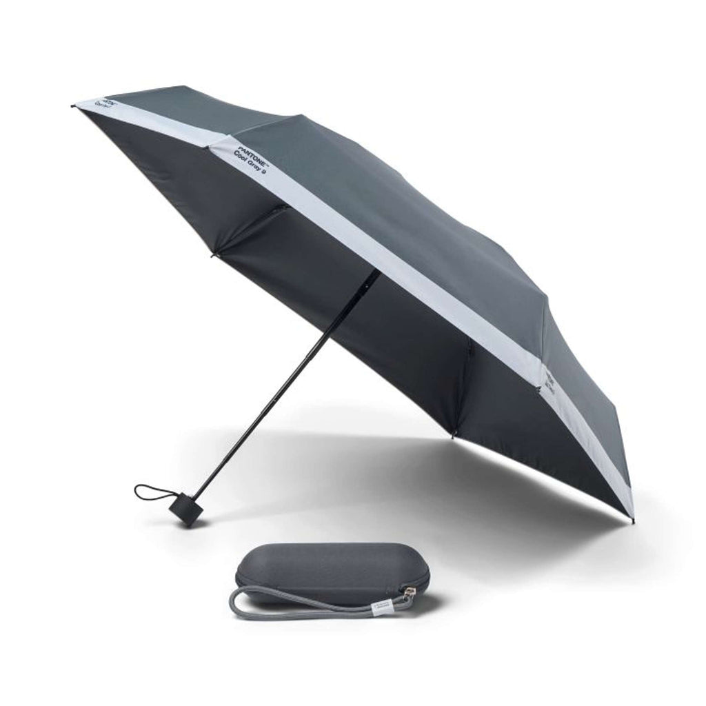 Parapluie Compact dans Sac de Voyage - Cool Grey 9