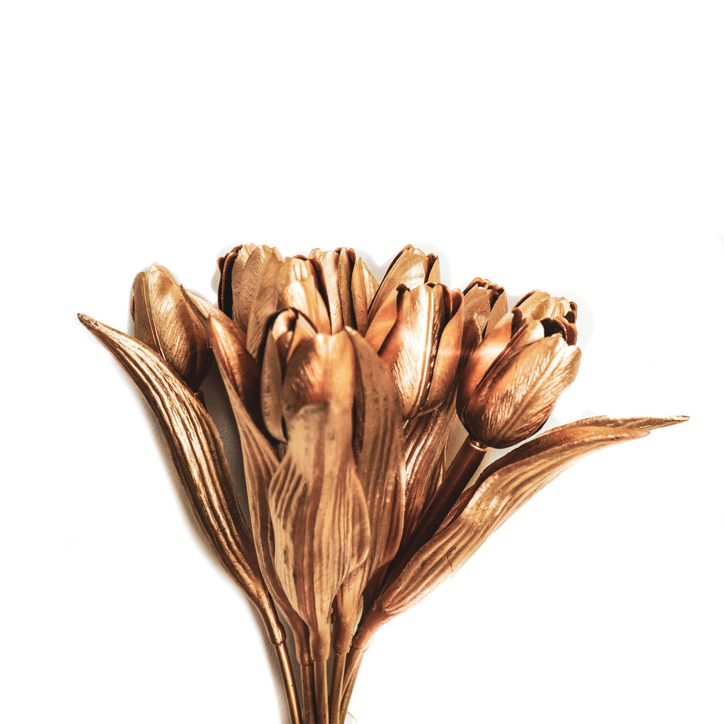 Housevitamin - Tulipes dorées 'Julia' (12 pièces, 20x40cm)