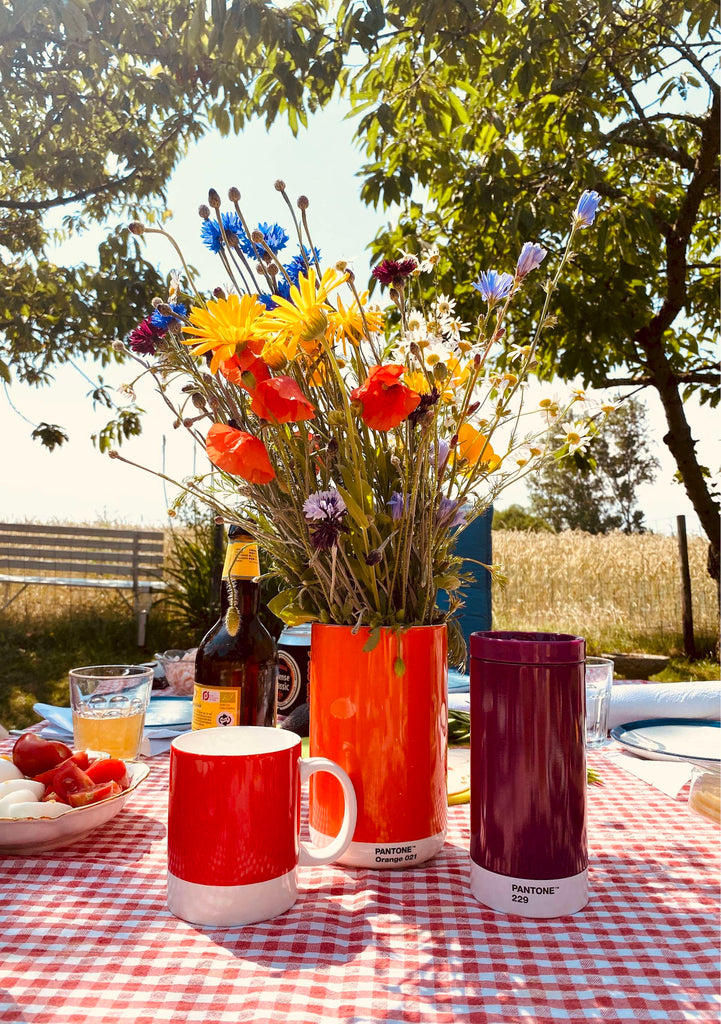 Copenhagen Design - Tasse à café 'Pantone' (375ml, Rouge 2035)