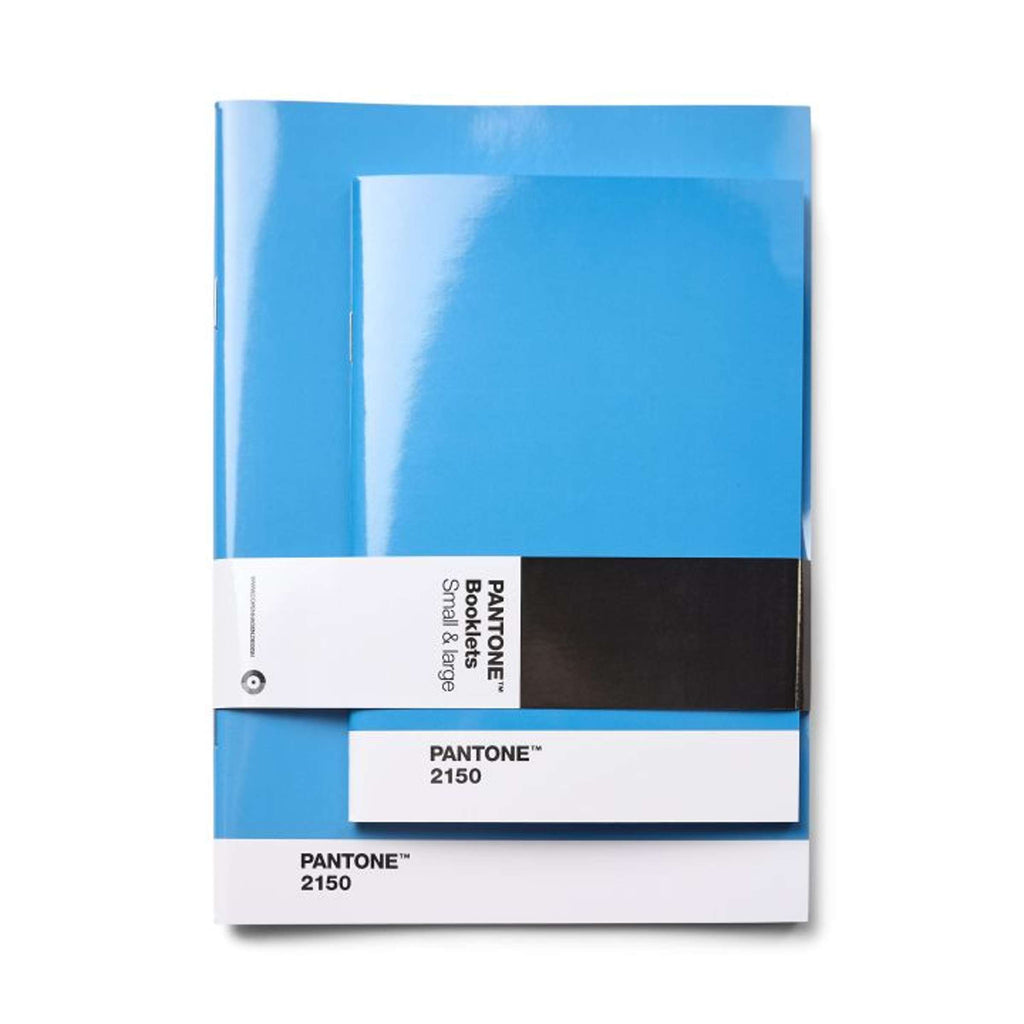 Cahiers Lot de 2 Pages Pointillées - Bleu 2150 C