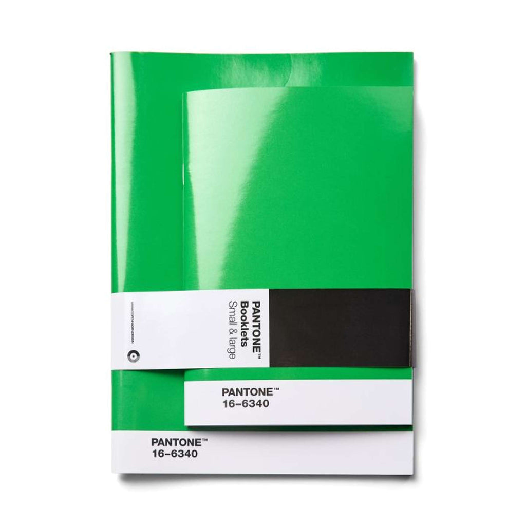 Cahiers Lot de 2 Pages Pointillées - Vert 16-6340