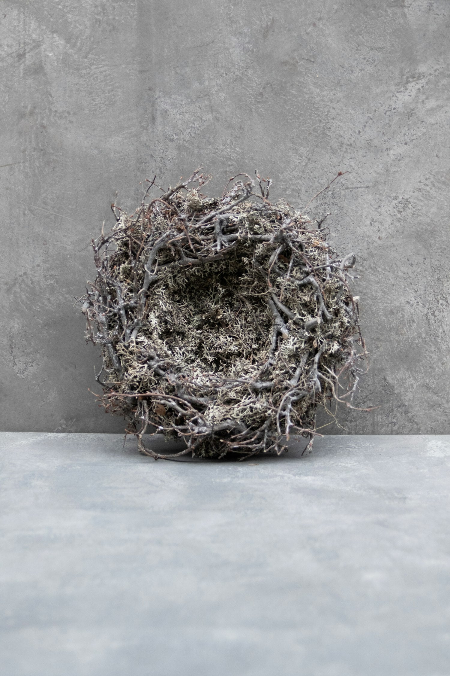 Couronne - Krans van mos met bonsai en nest 'Nest' (White wash