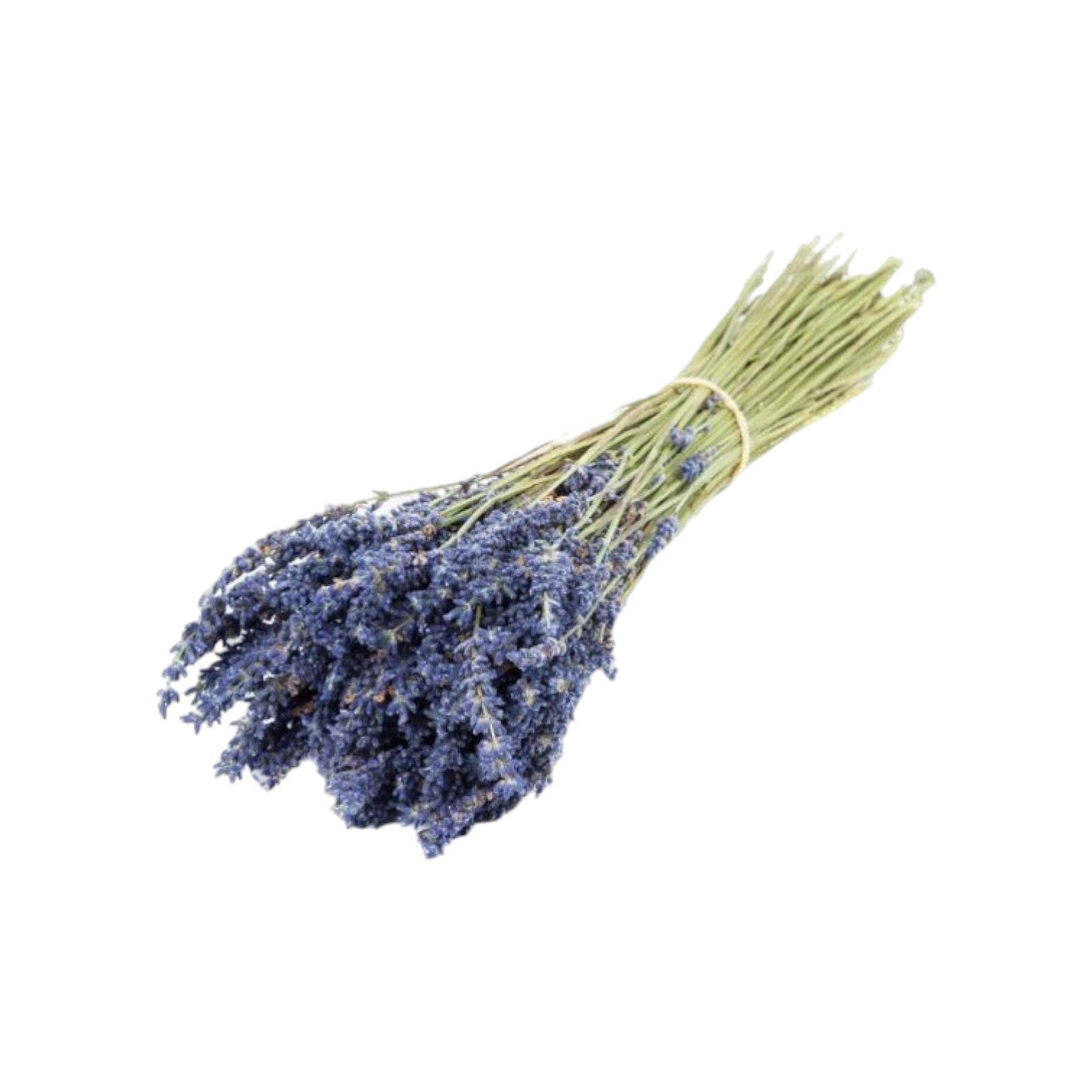 Maison d'Abri - Bosje met lavendel 'Lavender' (Gedroogd)