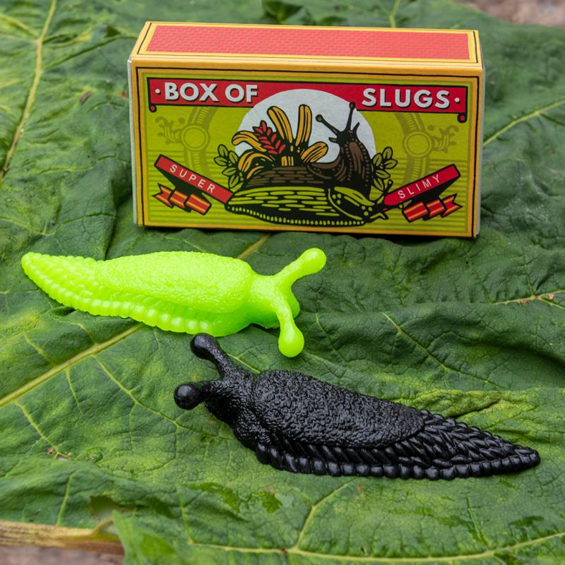 Rex London - Doosje met slakken 'Slugs'