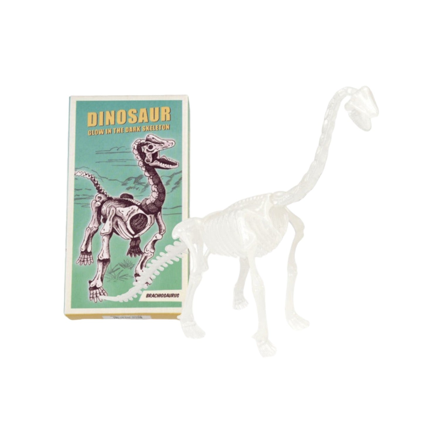 Rex London - Glow-in-the-dark kit 'Brachiosaurus'