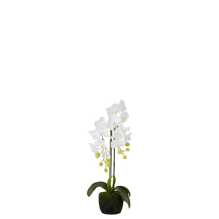 J-Line - Kunstbloem 'Orchidee' (Wit, Small)