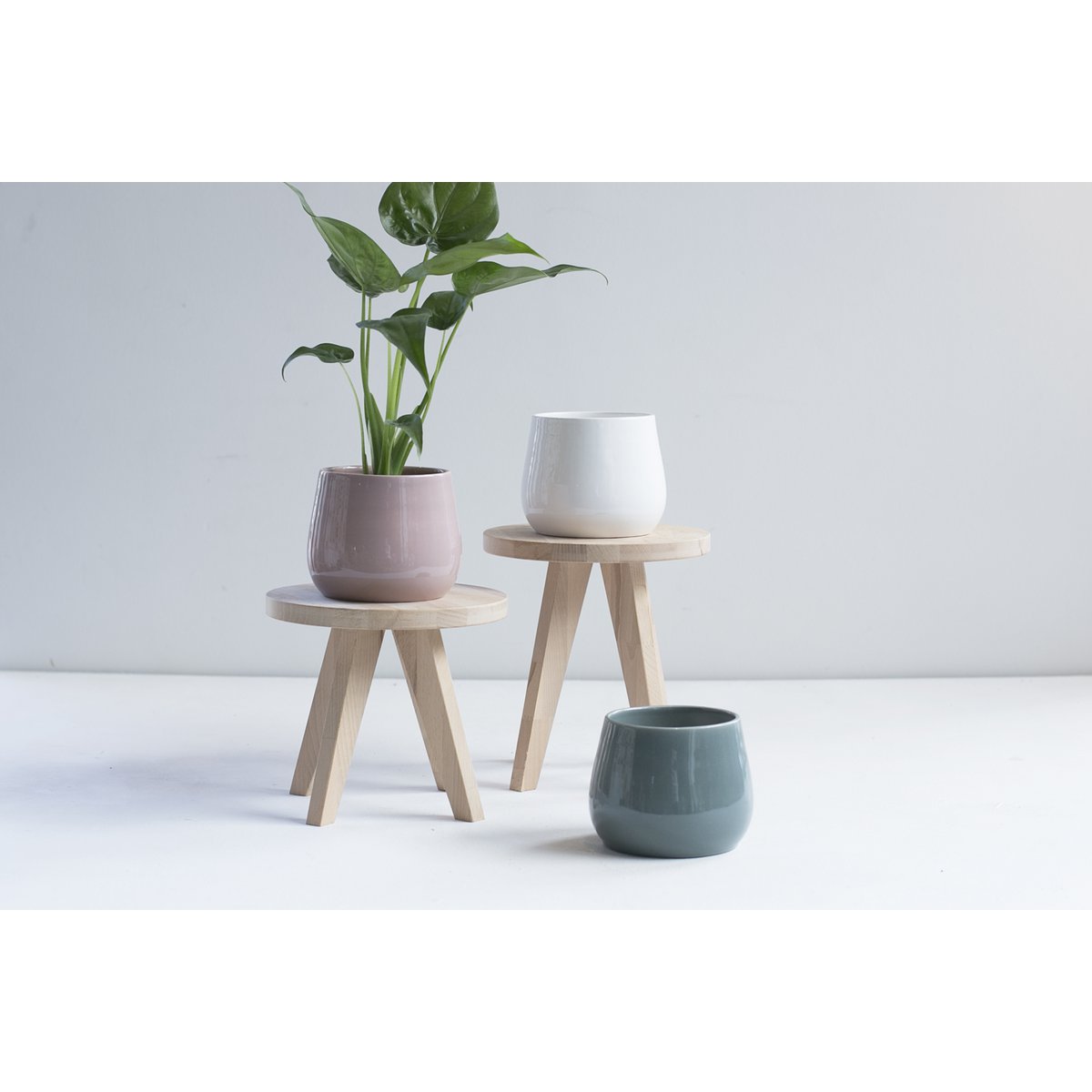 Ceramics Limburg - Plantentafel 'Fondo' (Medium)