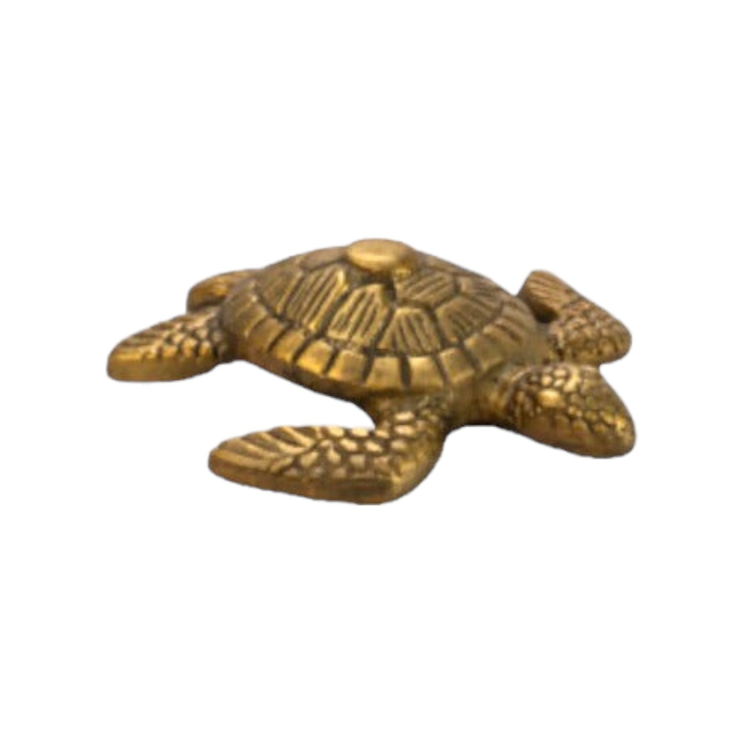 Home Society - Decoratieve schildpad 'Tortuga' (set van 2)