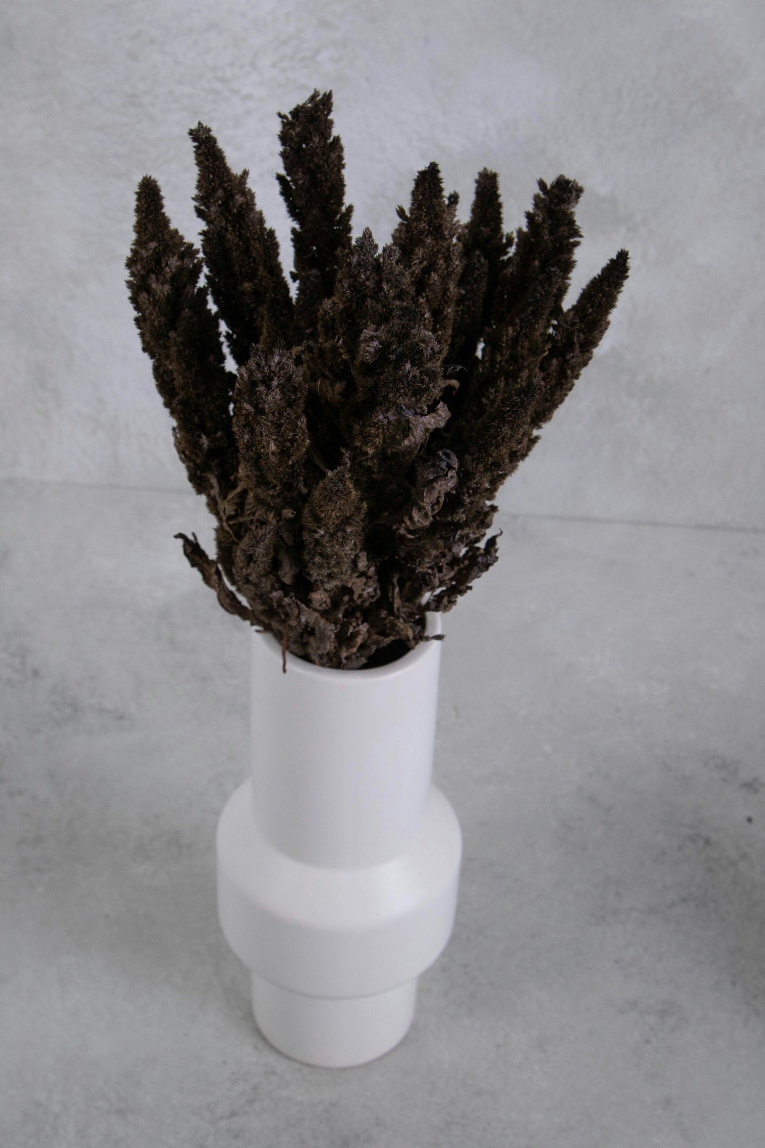 Couronne - Bundeltje gedroogde bloemen 'Amaranthus' (Brown)