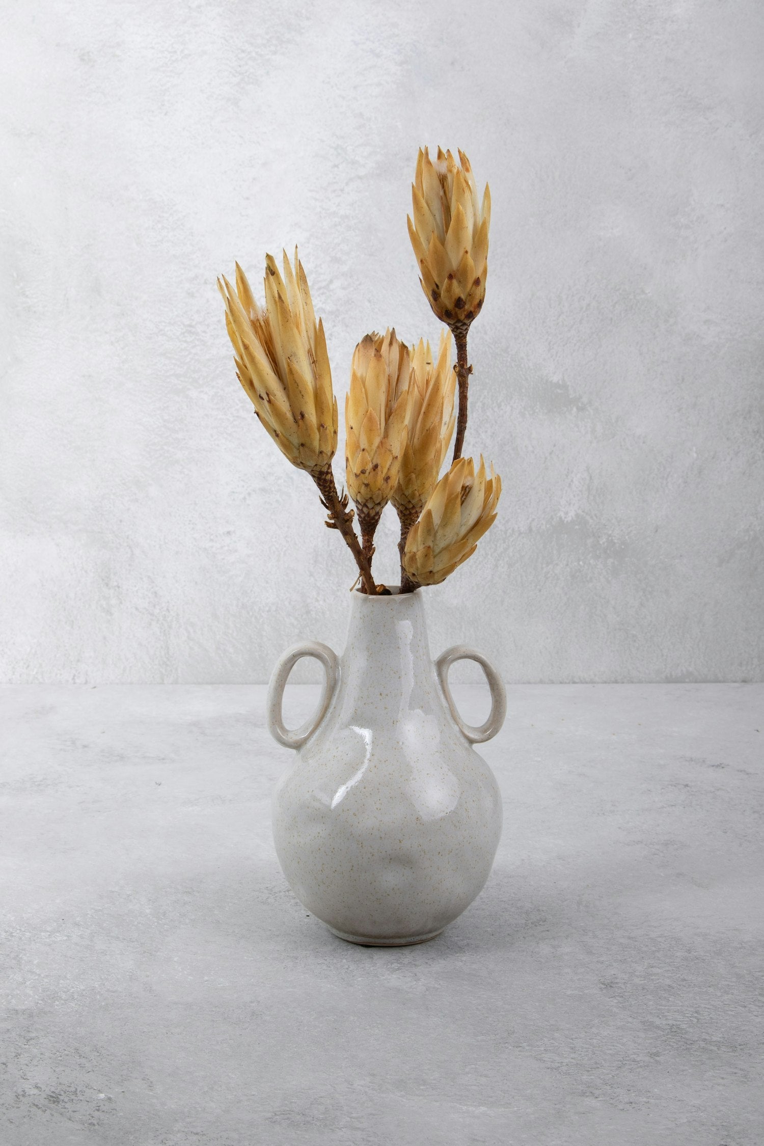 Couronne - Bundeltje gedroogde bloemen 'Protea' (Cream)