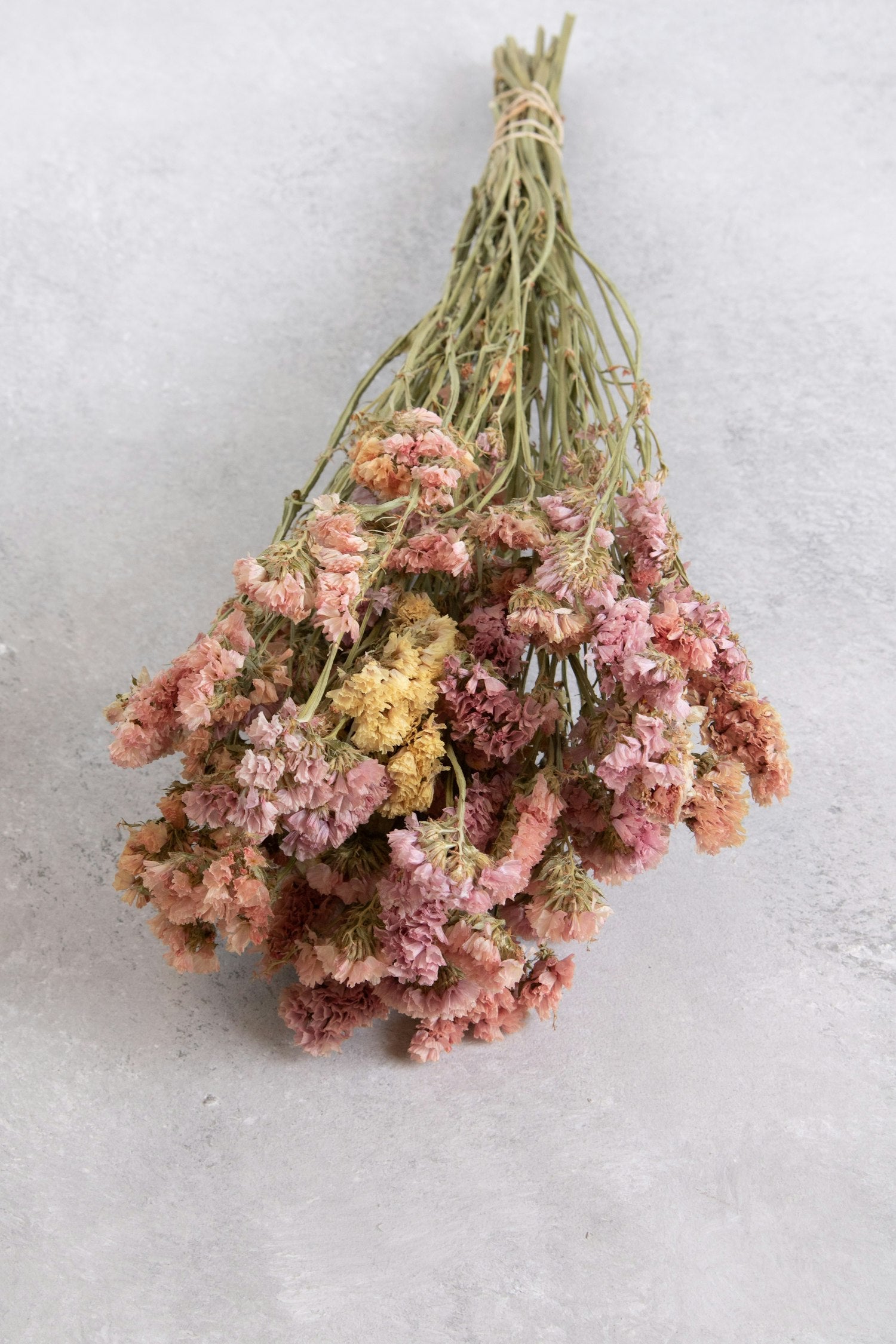 Couronne - Bundeltje gedroogde bloemen 'Statice' (Apricot)
