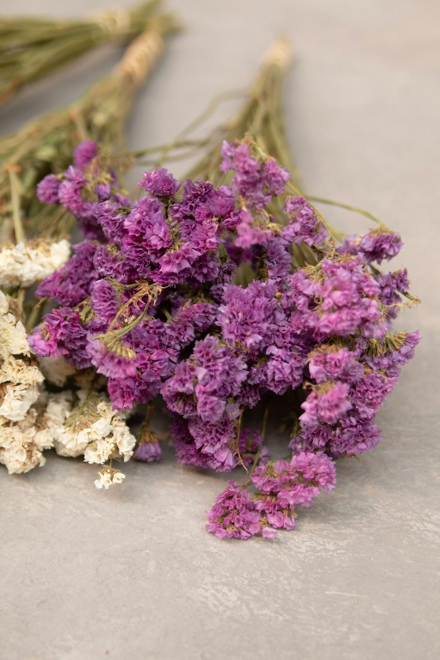 Couronne - Bundeltje gedroogde bloemen 'Statice' (Lilac)