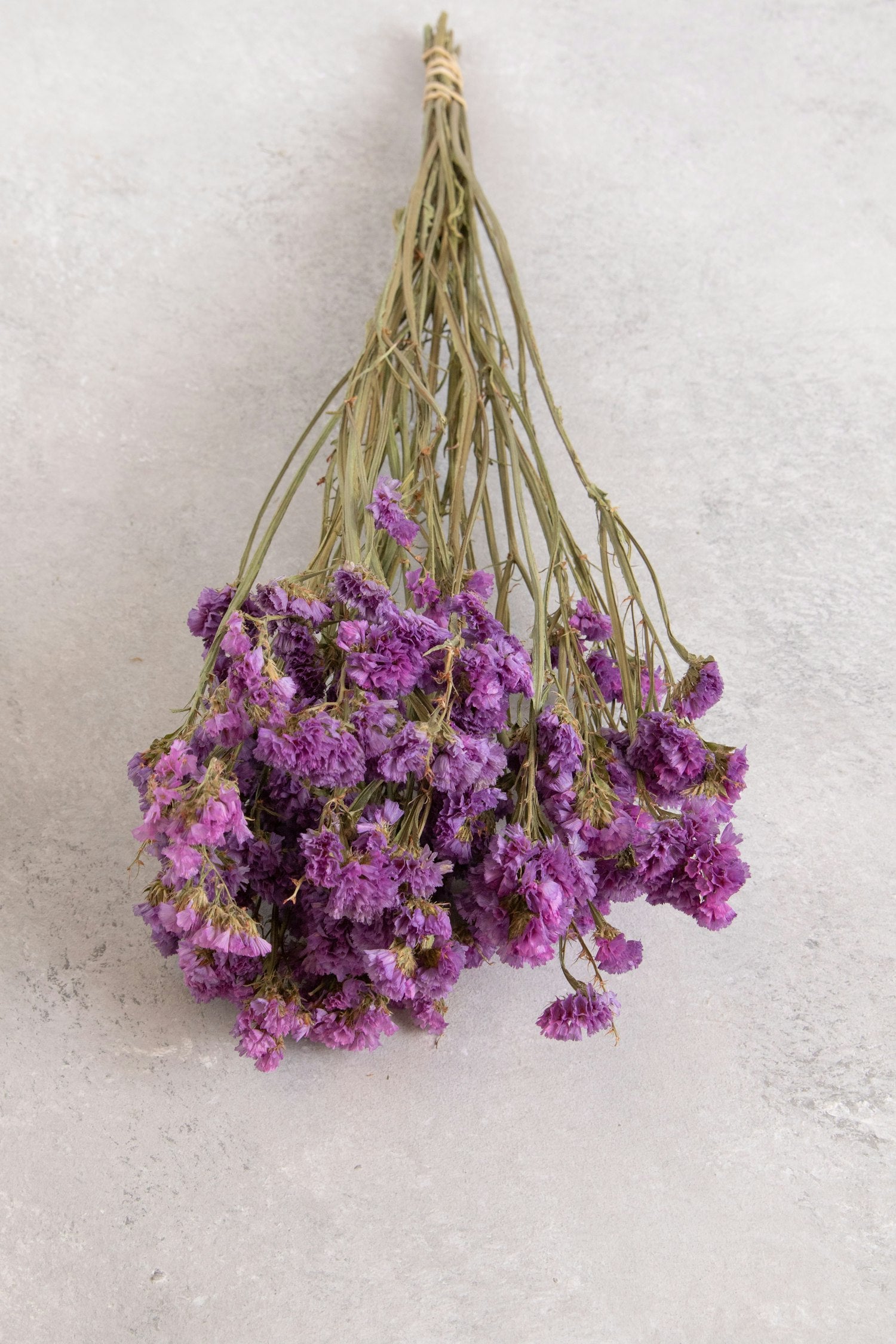 Couronne - Bundeltje gedroogde bloemen 'Statice' (Lilac)