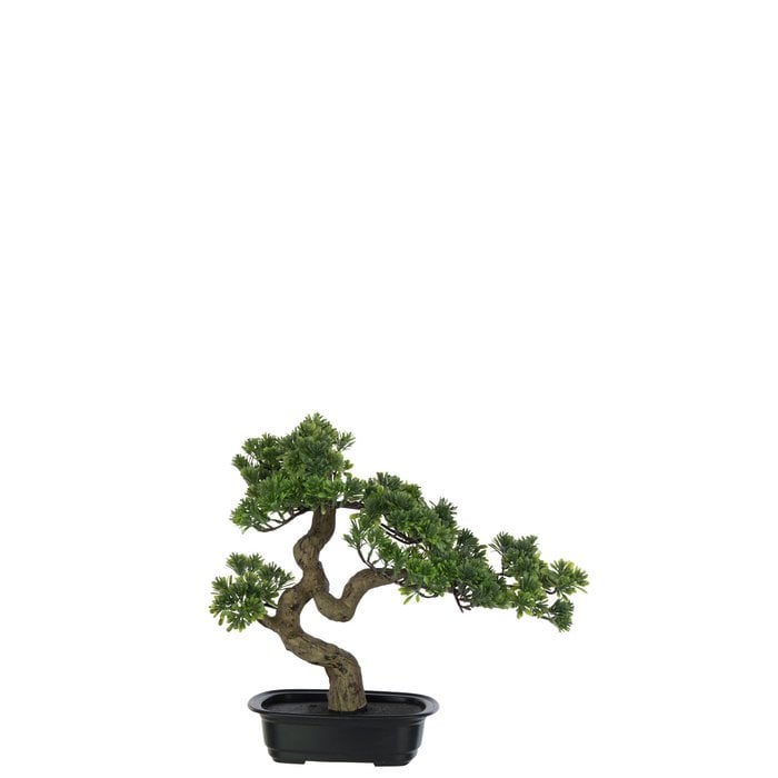 J-Line - Kunstpflanze 'Bonsai' (Klein)