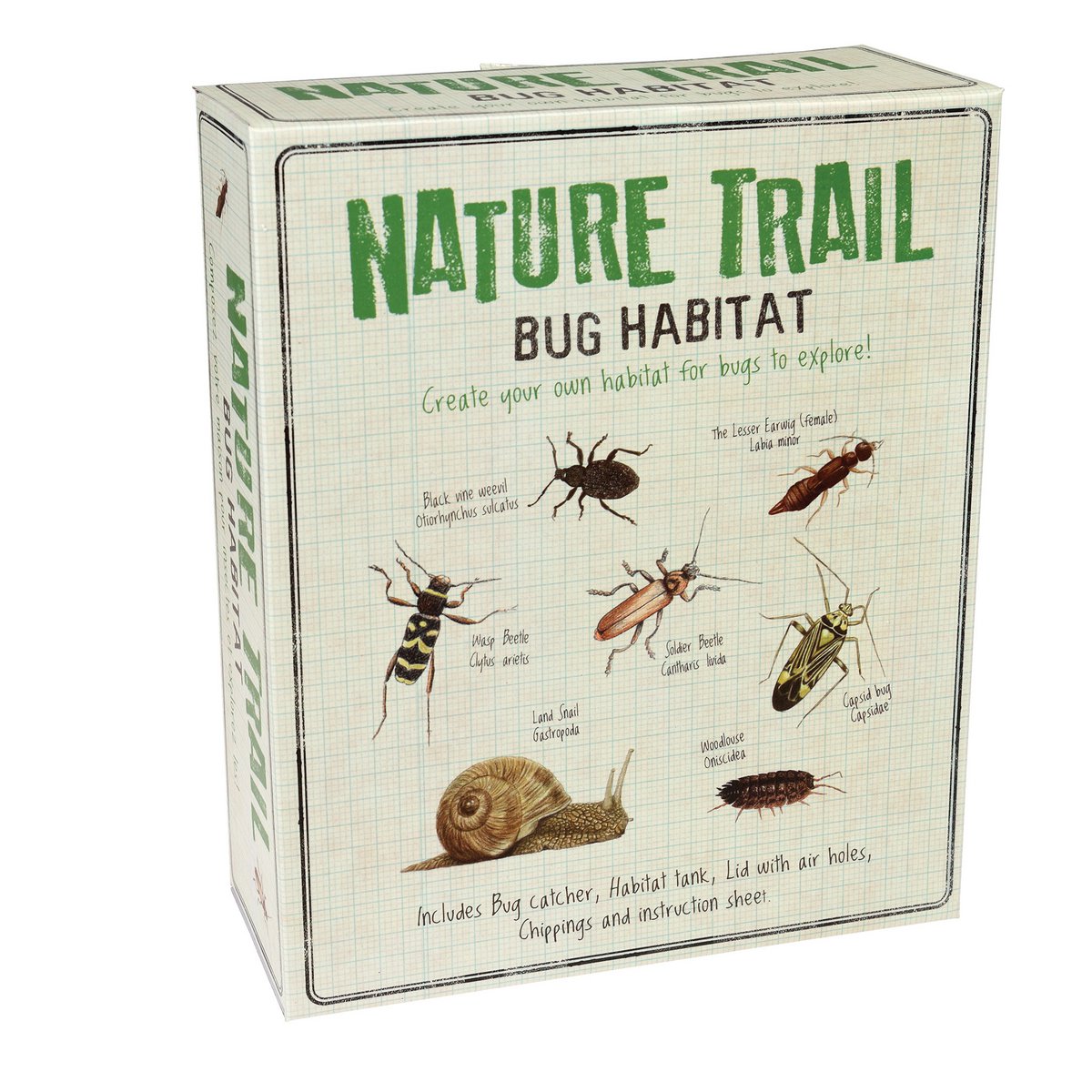 Rex London - DIY-kit 'Maak je eigen insectenhabitat' (Nature Trail)